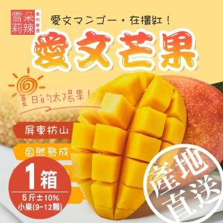 【雪莉朵辣】屏東枋山愛文芒果x1盒(小果-5斤±10%/盒/約9-12顆)