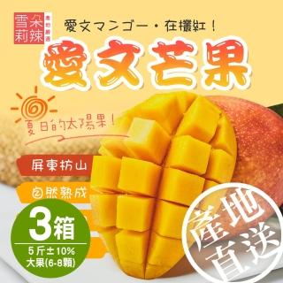 【雪莉朵辣】屏東枋山愛文芒果x3盒(大果-5斤±10%/盒/約6-8顆)
