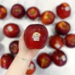 【FruitGo 馥果】美國宇宙脆蘋果280g±10%x64顆/箱(原裝箱18kg±10%)