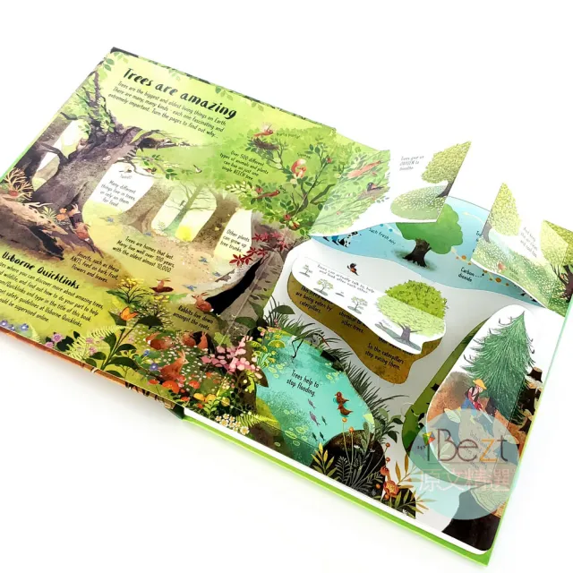 【iBezT】Trees(Usborne Lift-the-Flap翻翻書)