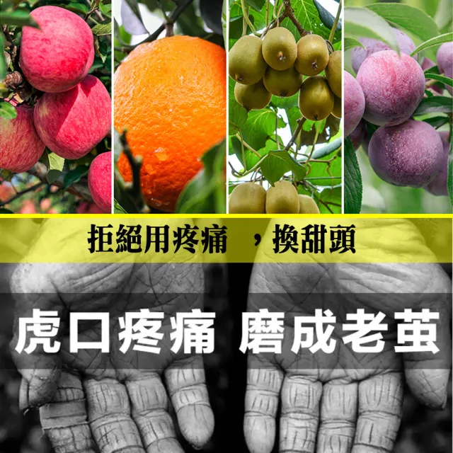 【立豐科技】LiFon｜無線輕巧2.5公分電剪｜女性果農專屬(經典款 25C168)