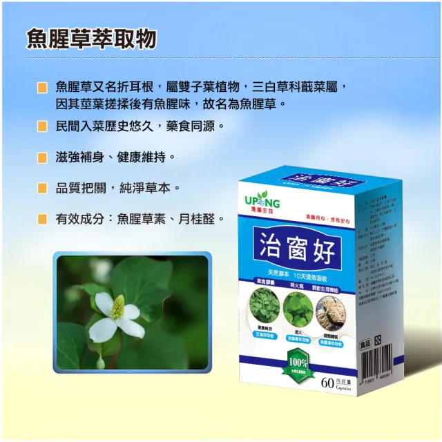 【湧鵬生技】治窗好素食膠囊1入組(艾葉;金錢草;魚腥草)