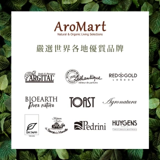 【AroMart 艾樂曼】TOAST-香氛水氧機-美禪型 湖水綠