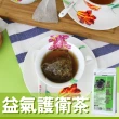 【Mr.Teago】益氣護衛茶-3角立體茶包(30包/袋)