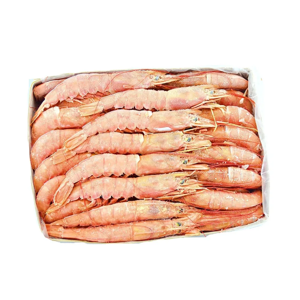 【RealShop】阿根廷鮮凍超大天使紅蝦 2kg/盒(真食材本舖)