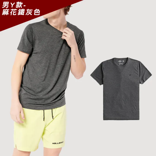 【HOLLISTER Co】HCO 海鷗 經典圖案短袖T恤 上衣-男-多色款組合(可男女搭配/春夏舒適/平輸品/短T)