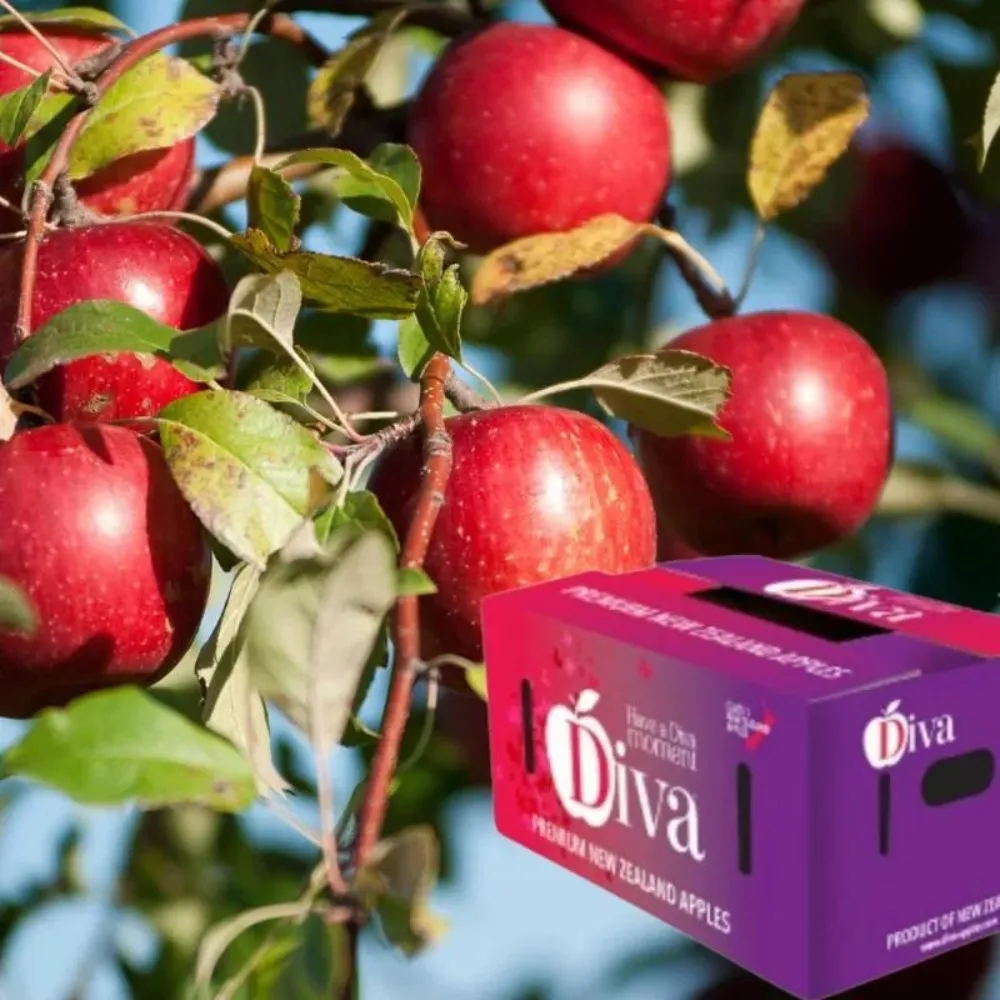 【RealShop】紐西蘭Diva蘋果18kg±10%x1箱(70-80顆 原箱裝 真食材本舖)