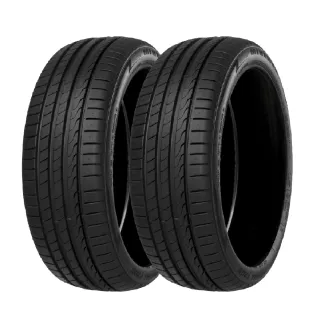 【MINERVA】F205 米納瓦低噪排水運動操控轎車輪胎 二入組 225/45/19(安托華)