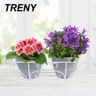 【TRENY】掛式花架45CM長方形-白色