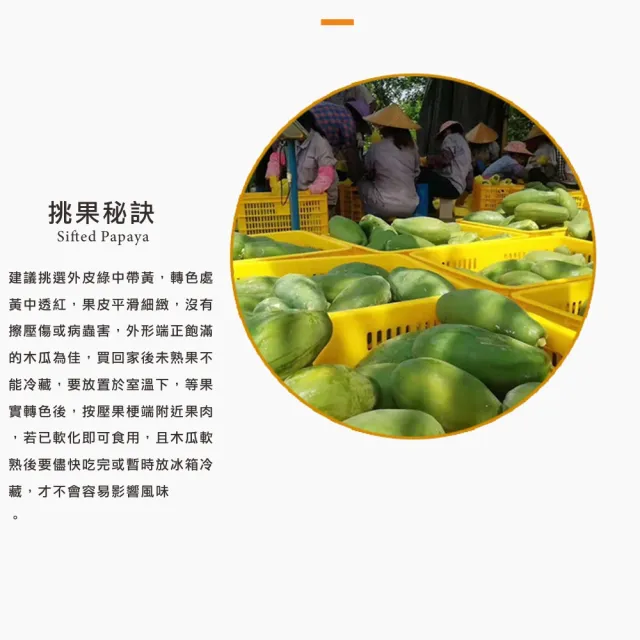 【光合果物】台灣大顆紅肉木瓜 5斤裝(約3-4大顆/箱)
