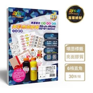 【彩之舞】噴墨高彩亮面膠質防水標籤 30張/包/6格直角-2x3/ U99105JT-30(貼紙、標籤紙、A4)