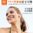 【Mcdodo 麥多多】TWS真無線藍牙耳機藍芽運動麥克風通話降噪 S1系列