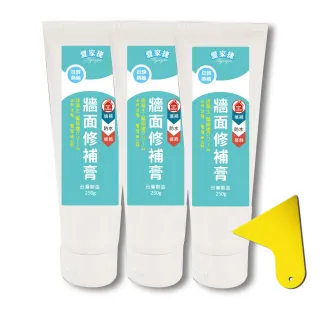 【愛家捷】日韓珪藻土牆面修補膏3瓶附刮刀1(台灣製造 填縫修復 防水修飾)