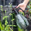 【Dagebeno荷生活】氣壓式園藝噴水瓶 家用植物澆花灑水噴霧瓶噴壺(2入)