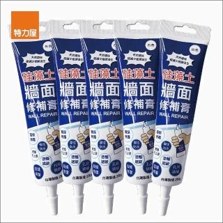【特力屋】組合矽藻土牆面修補膏 白色 250g 5入