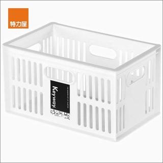 【特力屋】2入組總理17萬用籃小 DT-17