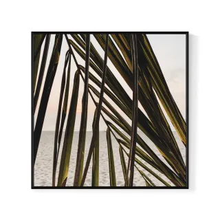 【菠蘿選畫所】棕櫚與遠洋II-25x25cm(熱帶植物海攤/海邊攝影畫作/夏天風格擺飾/新居禮)
