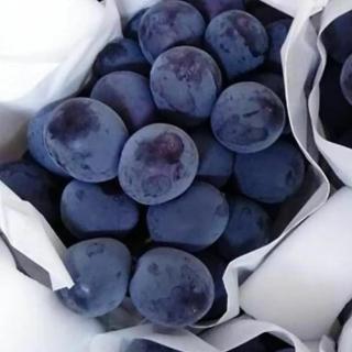 【RealShop】日本貓眼無籽葡萄約1.3kg±10%x1盒(共2房裝禮盒 高檔水果送禮精品 真食材本舖)