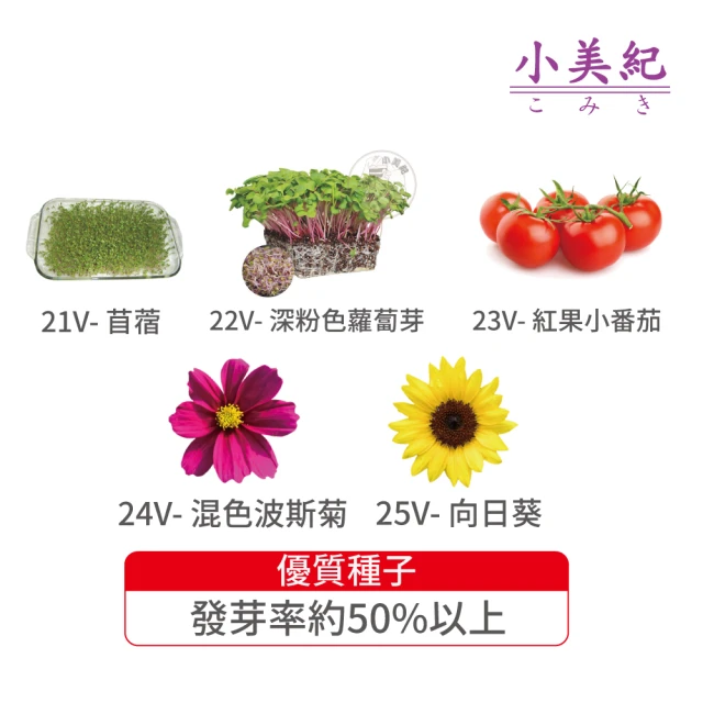 小美紀 高優質 種子(苜蓿 紫蘿蔔芽 小番茄 波斯菊 向日葵蔬菜 盆栽 種子 介質)