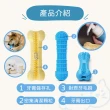 【小小毛孩】寵物潔牙牙刷玩具/L號/中大型犬適用(狗狗牙刷 狗狗玩具)
