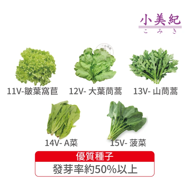 小美紀 高優質 種子(窩苣 茼蒿 A菜 菠菜 菜苗 土壤種植 蔬菜 盆栽 種子 介質)