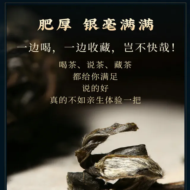 【盛嘉源】大雪山 古樹純料  2021(普洱茶   生茶 357g)