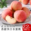 【喜樂果園】正宗拉拉山水蜜桃8顆x2盒(中大果_產地現摘_冷藏直送)