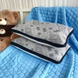 【LASSLEY】石墨烯彈簧健康枕 2入組(台灣製造 50顆獨立筒 兩面枕 GRAPHENE)