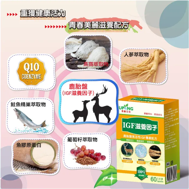 【湧鵬生技】IGF滋養因子買4送2六入組(鹿胎盤；燕窩；Q10；60顆/盒；共360顆)(春節禮盒)
