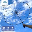 【下雨的聲音】日本訂單16骨防風加厚透明直傘長柄傘(二色)