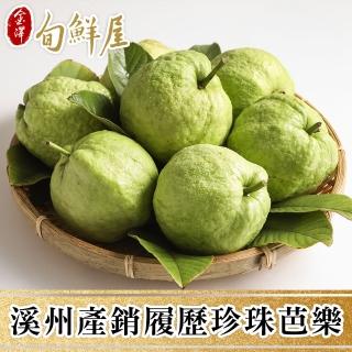 【金澤旬鮮屋】溪州產銷履歷珍珠芭樂5斤x2箱