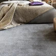 【范登伯格】比利時 極至柔光澤長毛地毯(160x240/共9色)