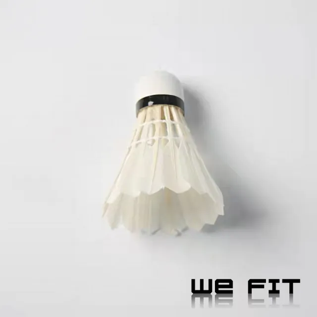 【WE FIT】鵝毛複合軟木球頭羽毛球6入(SG154)