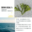 【C.D.P 愛在普羅旺斯】97%海藻高效保溼 防塵體霜 200ml(極致保濕/補水/修護)
