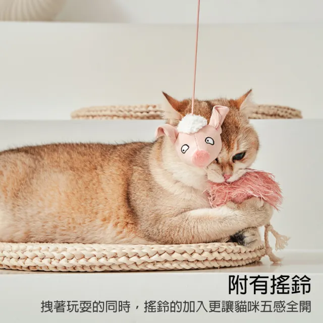 【美好寵商】Petsville派思維 彈個彈力逗貓繩(貓咪玩具 鈴鐺玩具 貓玩具 貓薄荷 自嗨)
