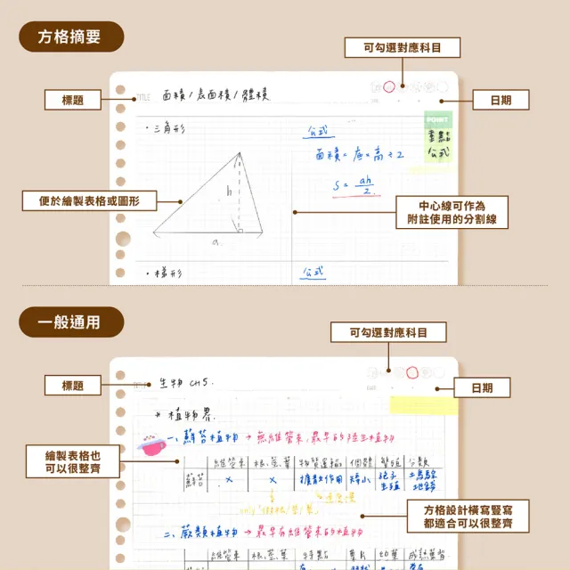 【sun-star】Miorin Study Time B5 26孔活頁紙(4款可選/日本進口/B5/活頁紙/補充包)