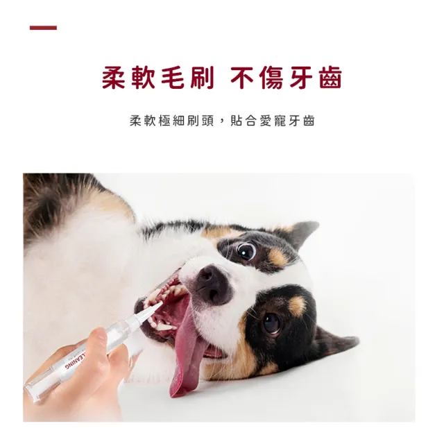 【KOJIMA】日本寵物護理用品 潔牙美牙筆(清潔牙齒 去污除漬)