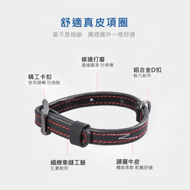 【美好寵商】DOGNESS多尼斯 真皮系列箭頭項圈_M號(狗項圈 狗狗項圈 真皮項圈)