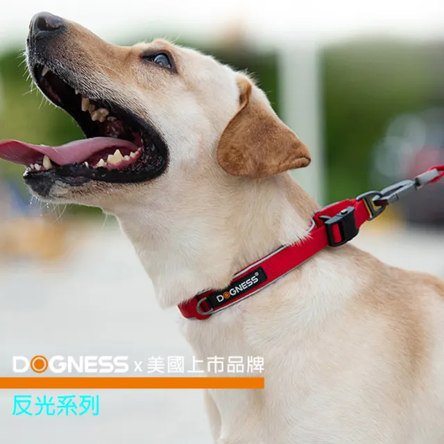 【美好寵商】DOGNESS多尼斯 反光系列項圈_M號(狗項圈 狗用品 寵物項圈)