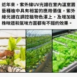 【JIUNPEY 君沛】40W 3呎UV加強型光譜防水型植物燈管 雙排燈芯設計(植物生長燈 三防燈)