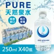 【美式賣場】Nu-Pure 泉水x2箱(250毫升 X 40瓶)