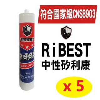 R999 中性矽利康 300ml 5入(適用 玻璃、鋁材、磚石、塑膠)