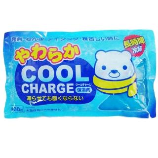 【日本紀陽】進口保冷劑-袋裝-400g-6包入(保冷劑)