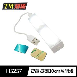 【TW焊馬】H5257 LED智慧 人體 感應 開關 充電式10cm照明燈(露營燈120°照明)