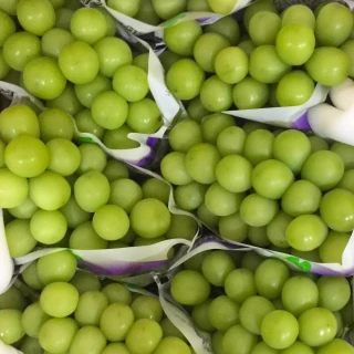 【RealShop】日本麝香綠無籽葡萄5kg±10%/箱(共9-11串 原裝箱 真食材本舖 團購)
