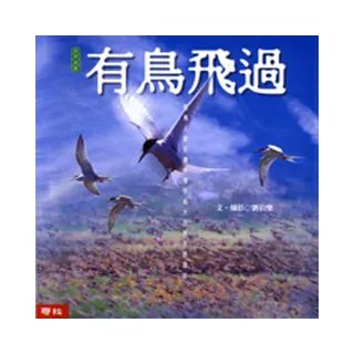 有鳥飛過
