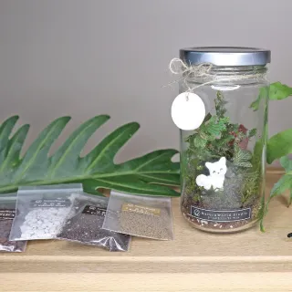 【植物生態瓶】E款瓶DIY材料包+教學影片