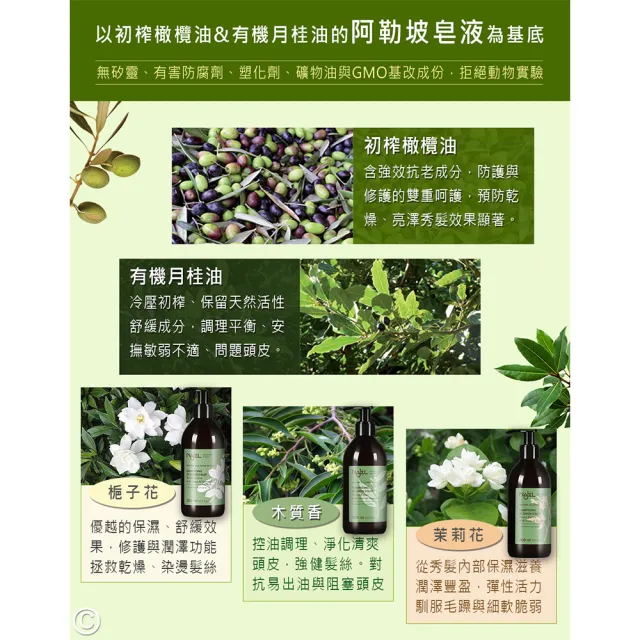 【NAJEL】阿勒坡古皂液淨透平衡頭皮SPA皂液洗髮精300ml二入-茉莉花/梔子花/木質沉香