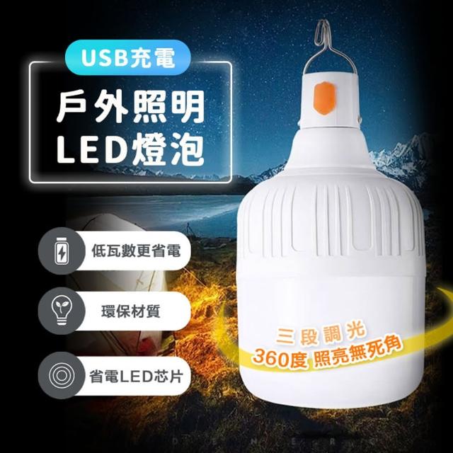 【ROYAL LIFE】USB充電戶外照明LED燈泡-2入組(夜市地攤燈 露營燈 應急燈 停電燈 擺攤燈)