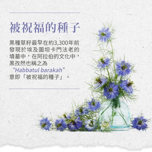 【聖伯納德 Sanct Bernhard】德國百年草本 黑種草油膠囊500mg(400粒/罐 高濃度)